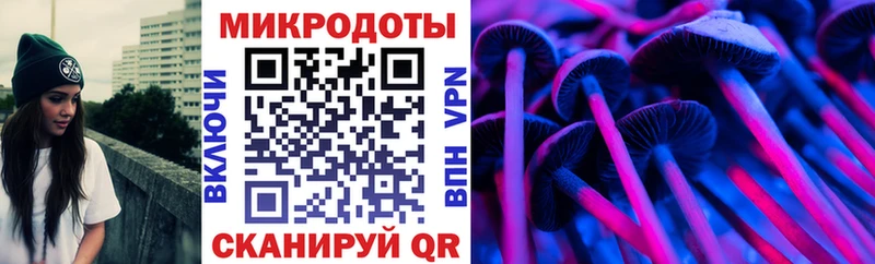 что такое наркотик  Ермолино  Псилоцибиновые грибы Psilocybe 